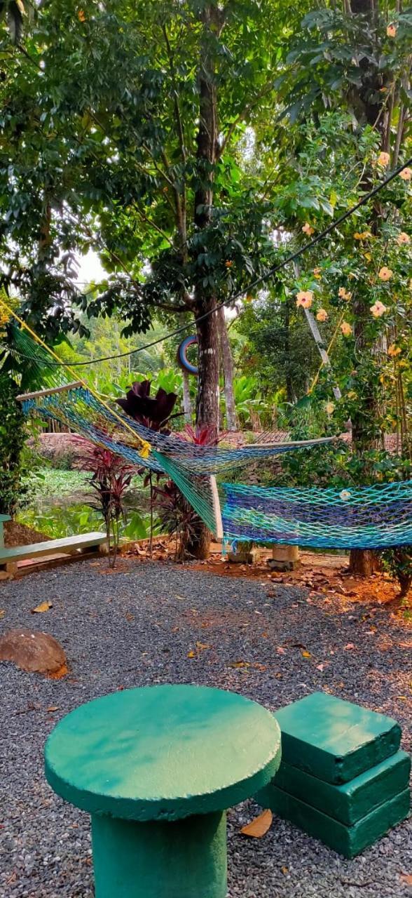 Kuttickattil Gardens Homestay Kottayam Bagian luar foto